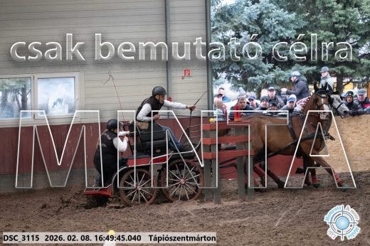 Mintakép 20260208-571