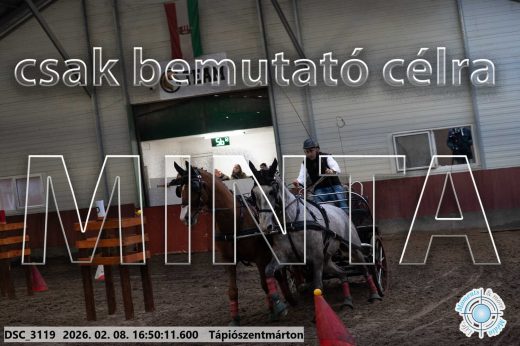 Mintakép 20260208-574