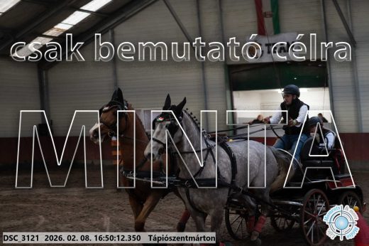 Mintakép 20260208-576