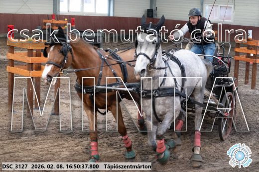 Mintakép 20260208-581