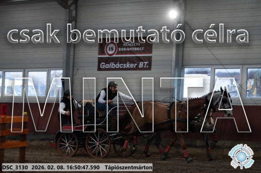 Mintakép 20260208-583