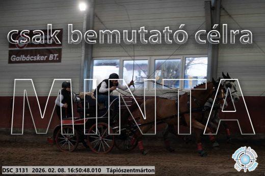 Mintakép 20260208-584