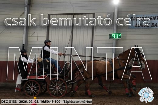 Mintakép 20260208-586