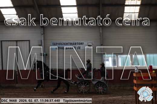 Mintakép 20260207-376