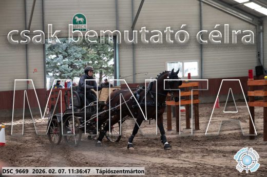 Mintakép 20260207-377