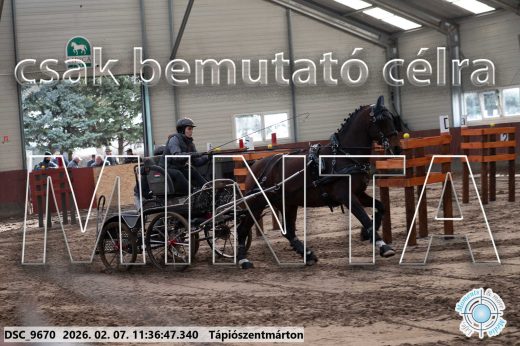 Mintakép 20260207-378