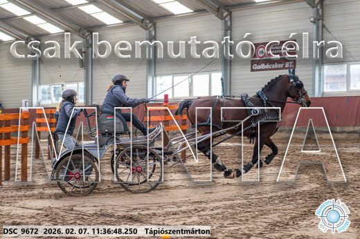 Mintakép 20260207-380