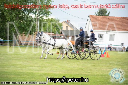 Mintakép 20260614-142