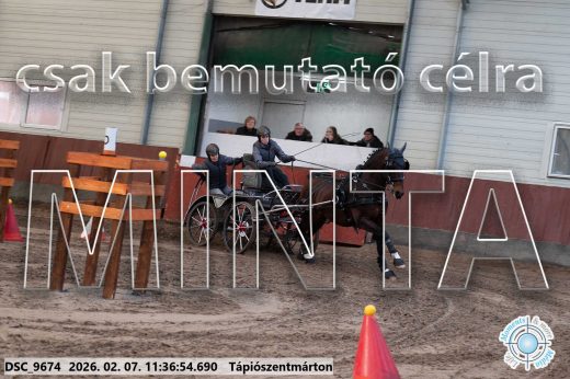 Mintakép 20260207-381