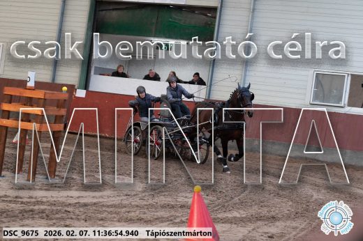Mintakép 20260207-382