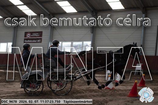Mintakép 20260207-384
