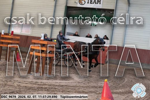 Mintakép 20260207-385