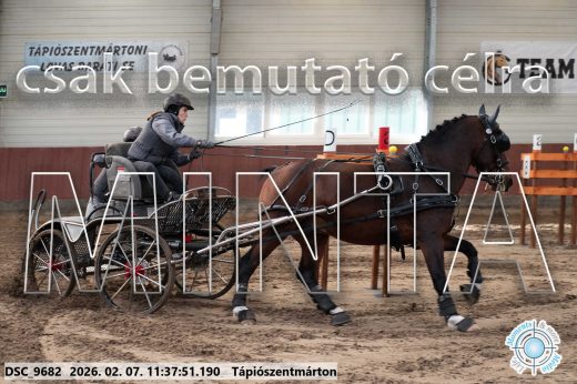 Mintakép 20260207-387