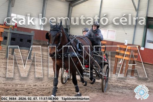 Mintakép 20260207-389