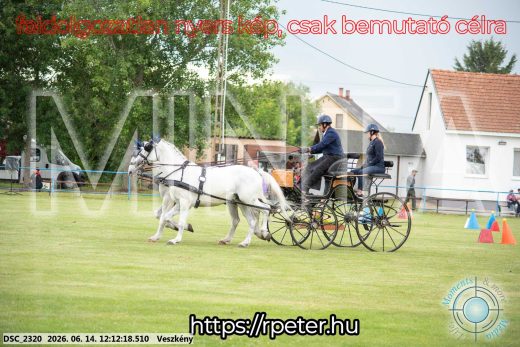Mintakép 20260614-143