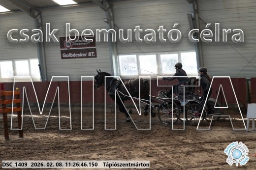 Mintakép 20260208-590