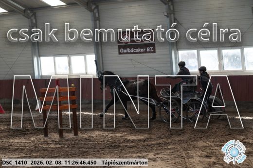 Mintakép 20260208-591