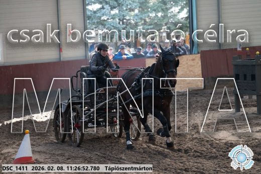 Mintakép 20260208-592