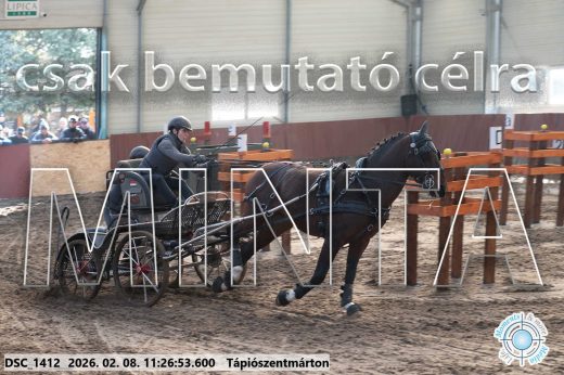 Mintakép 20260208-593