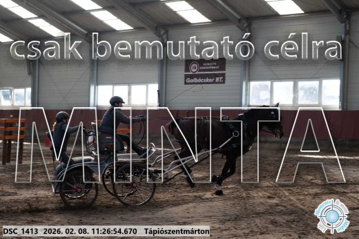 Mintakép 20260208-594