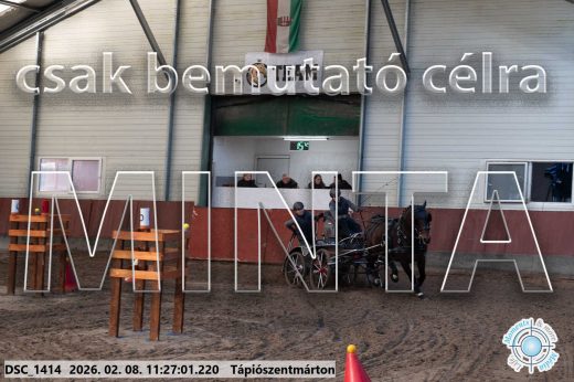 Mintakép 20260208-595