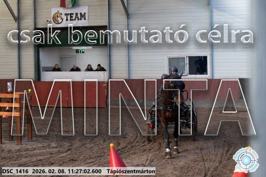 Mintakép 20260208-597