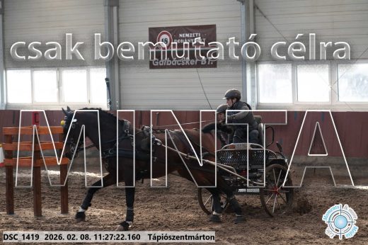 Mintakép 20260208-600
