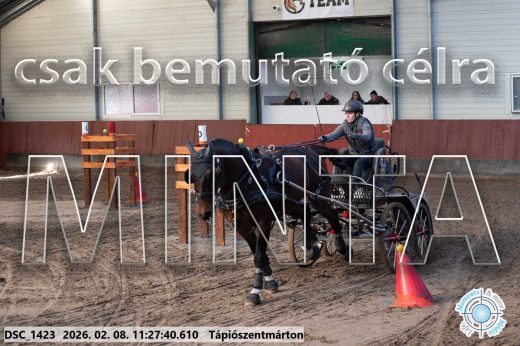 Mintakép 20260208-603