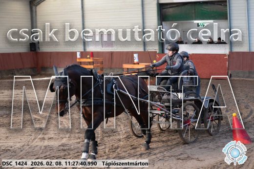 Mintakép 20260208-604