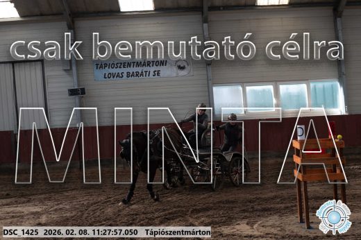 Mintakép 20260208-605