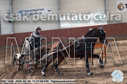 Mintakép 20260208-606