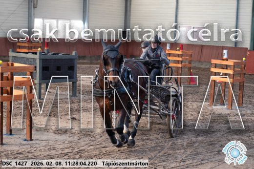 Mintakép 20260208-607