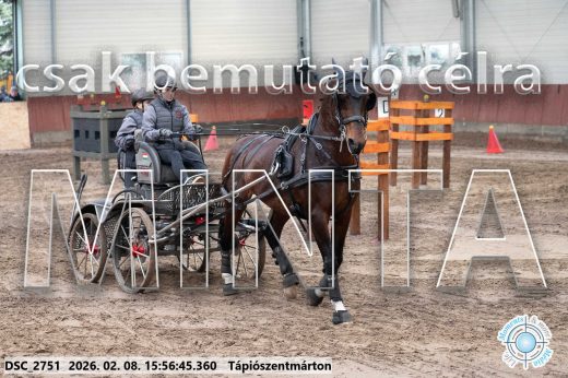 Mintakép 20260208-611