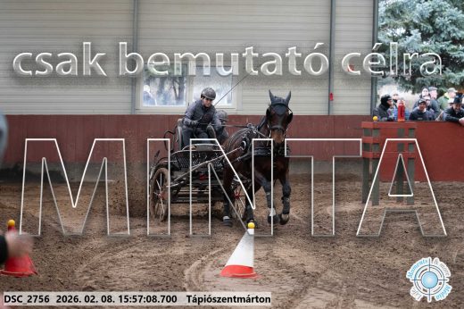 Mintakép 20260208-616