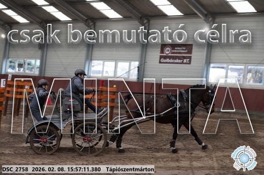 Mintakép 20260208-618