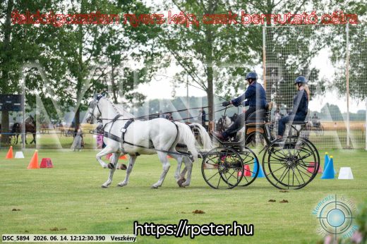Mintakép 20260614-146