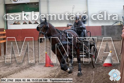 Mintakép 20260208-622