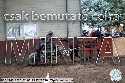 Mintakép 20260208-623