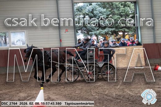 Mintakép 20260208-624