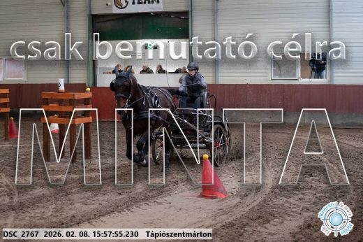 Mintakép 20260208-627