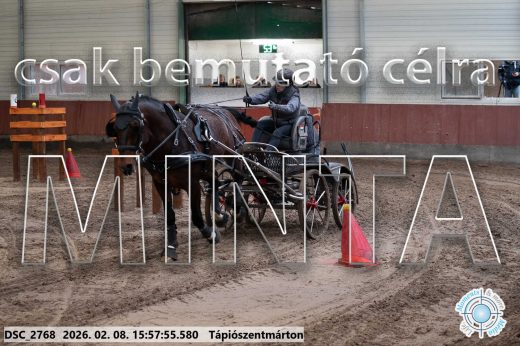 Mintakép 20260208-628