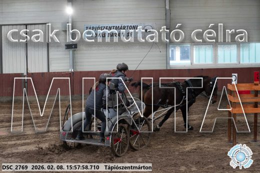 Mintakép 20260208-629