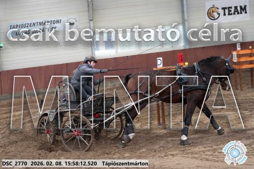 Mintakép 20260208-630