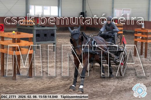 Mintakép 20260208-631