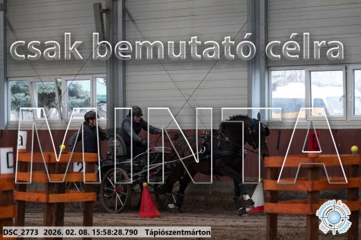 Mintakép 20260208-633
