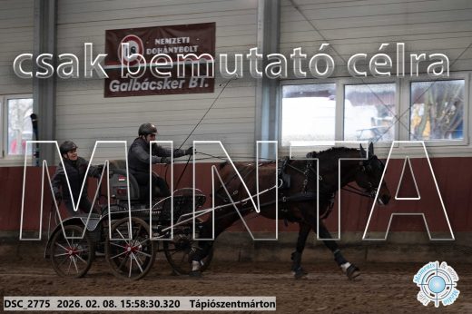 Mintakép 20260208-635