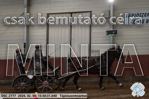 Mintakép 20260208-637