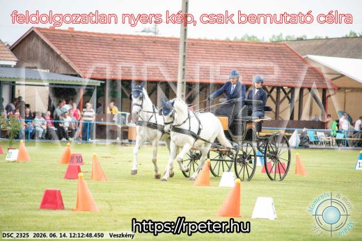 Mintakép 20260614-148