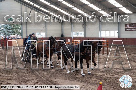 20260207-123913-DSC_9939.jpg