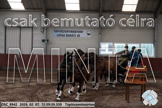 Mintakép 20260207-395